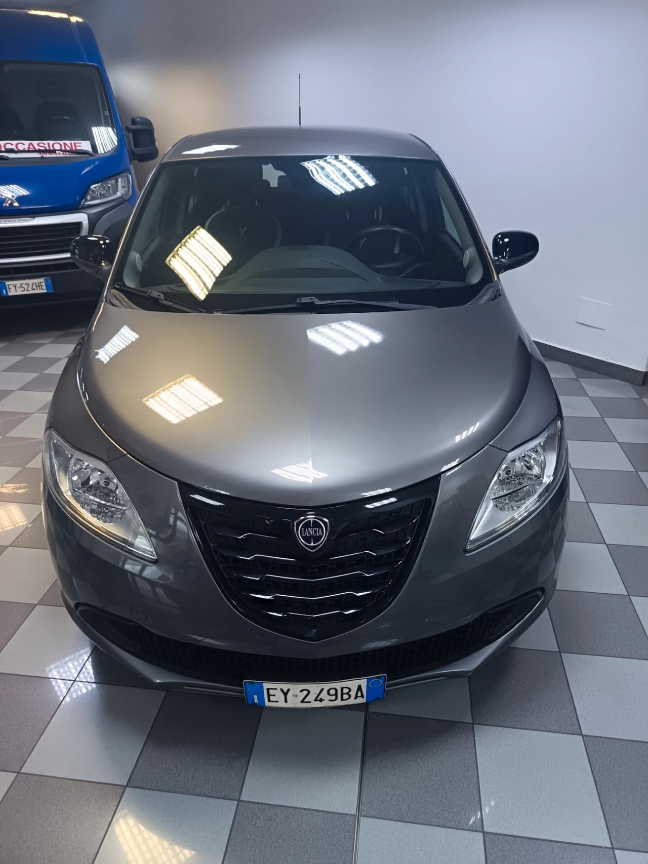Lancia Ypsilon 1.2 69 CV 5 porte Elefantino