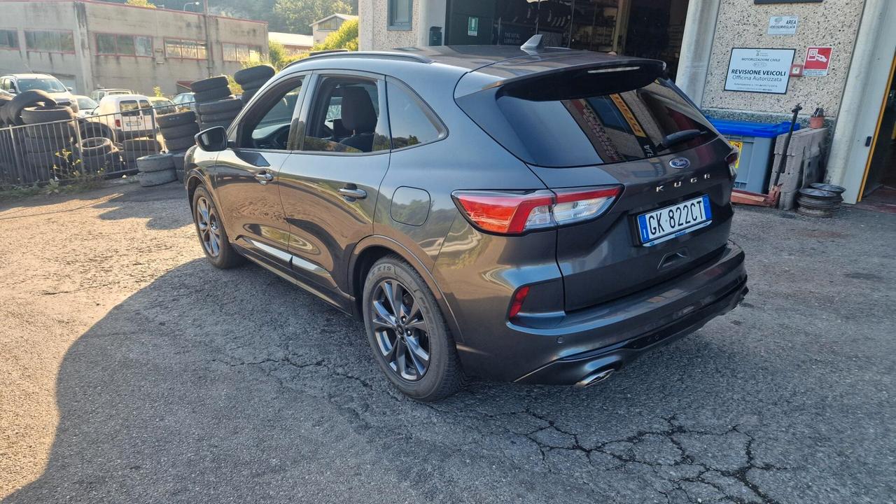 Ford Kuga 1.5 EcoBlue 120 CV 2WD ST-Line