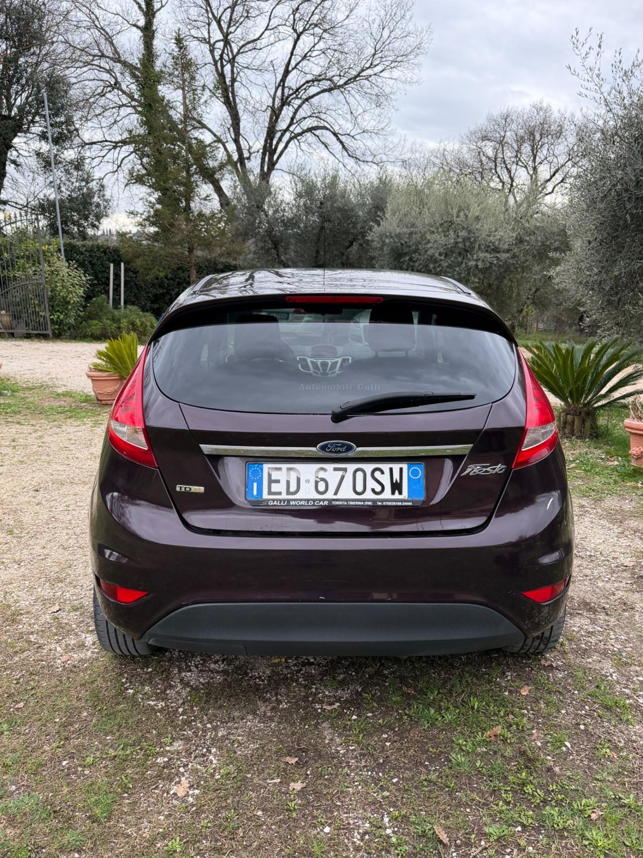 Ford Fiesta 1.4 TDCi 5p. Titanium