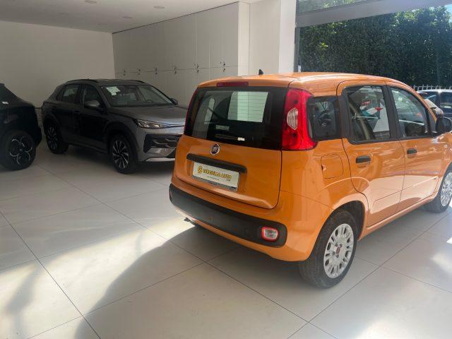 FIAT Panda 1.2 EasyPower TUA A SOLI 110 EURO MENSILI