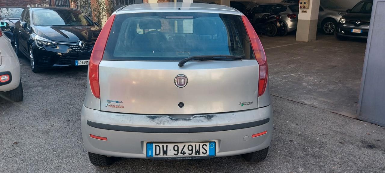 Fiat Punto Classic 1.2 5 porte Natural Power Active