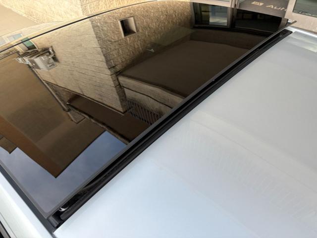 VOLKSWAGEN Taigo 1.0 TSI 115 CV R-Line TETTO APR/PAN