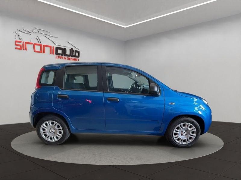 FIAT Pandina Pandina 1.0 firefly hybrid Icon s&s 65cv