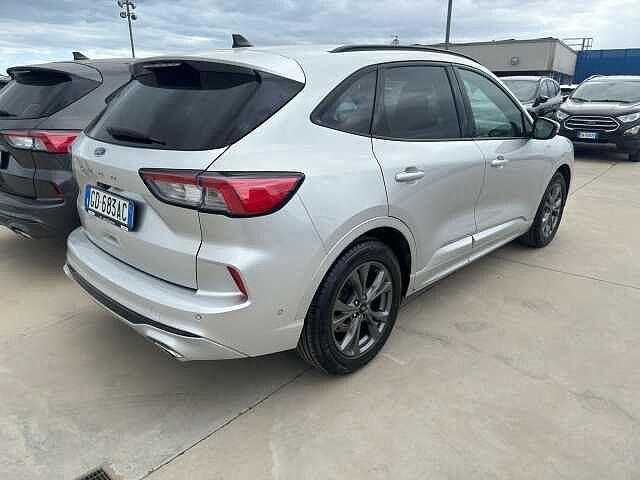 Ford Kuga 1.5 EcoBlue 120 CV 2WD ST-Line