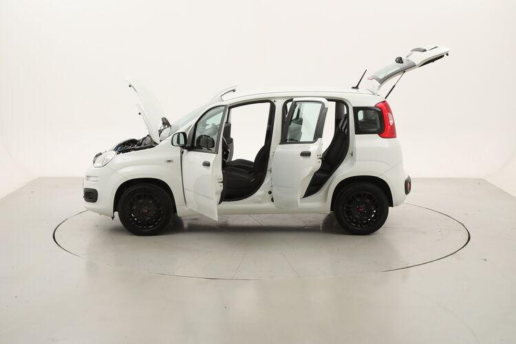 Fiat Panda Easy BR236963 1.2 Benzina 69CV