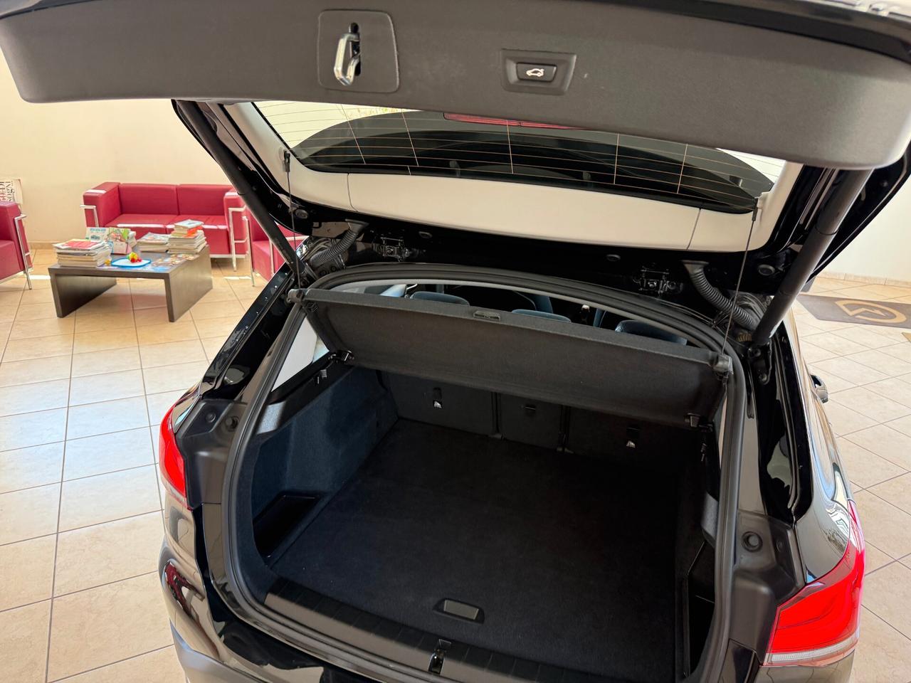 Bmw X1 sDrive16d Business Advantage