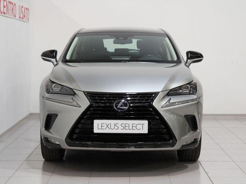 Lexus NX Hybrid 4WD Sport