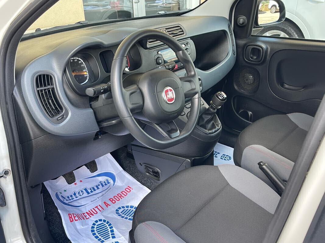 Fiat Panda 1.2 Easy 69cv my19 "Adatta anche per neopatentati" (Fendinebbia - Clima - Uconnect - Usb - Ruotino)