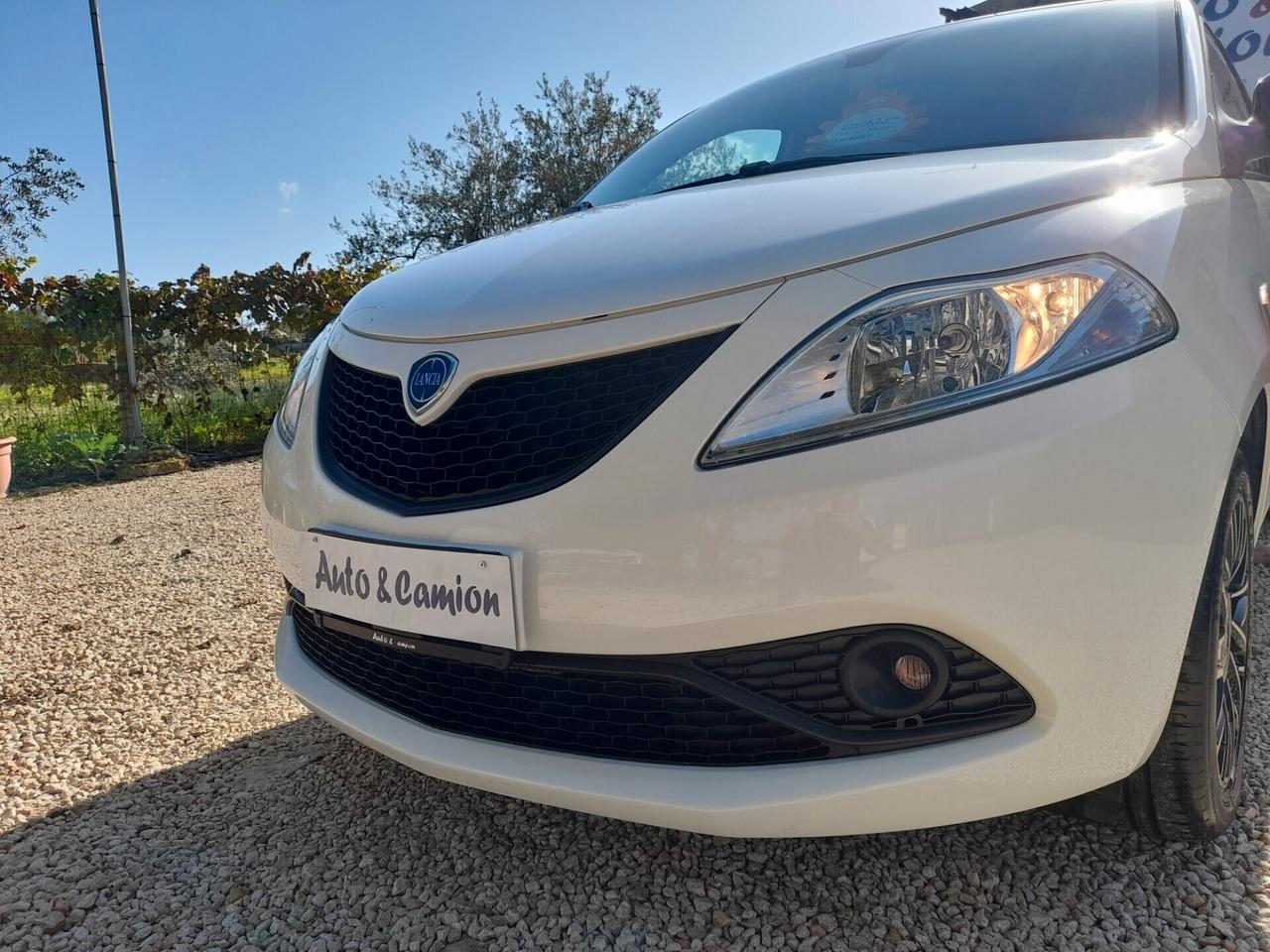 Lancia Ypsilon 1.2 69 CV Gold 2019 neopatentati ok