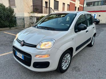 Fiat Panda 1.2 Easy 69CV E6 ***OK NEOPATENTATI***