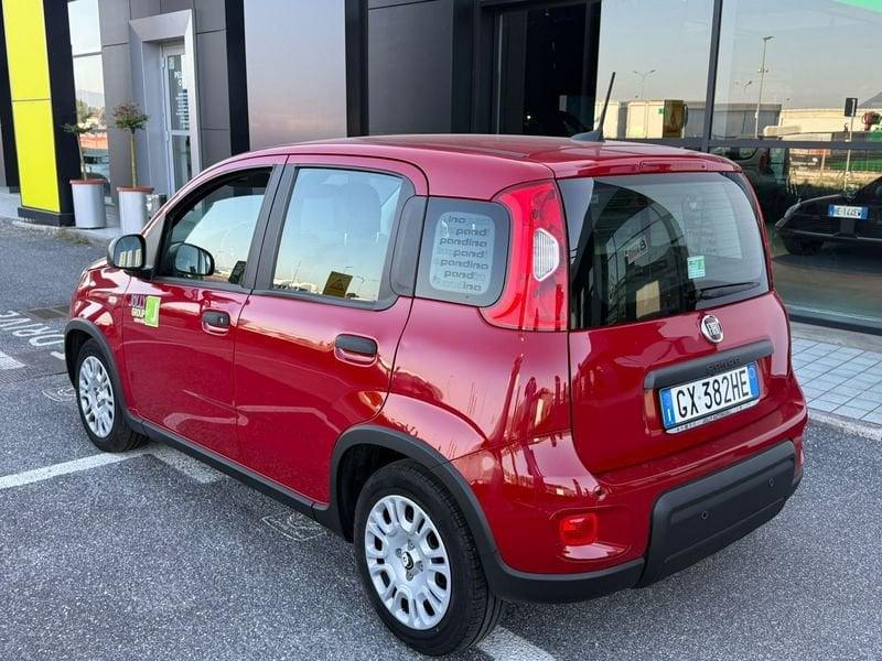 FIAT Panda NEW 1.0 70cv Hybrid PANDA