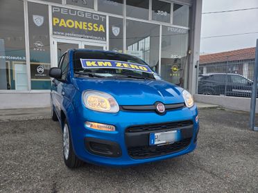 Fiat Panda PANDINA HYBRID PREZZO NON LEGATO A FINAZIAMENTO