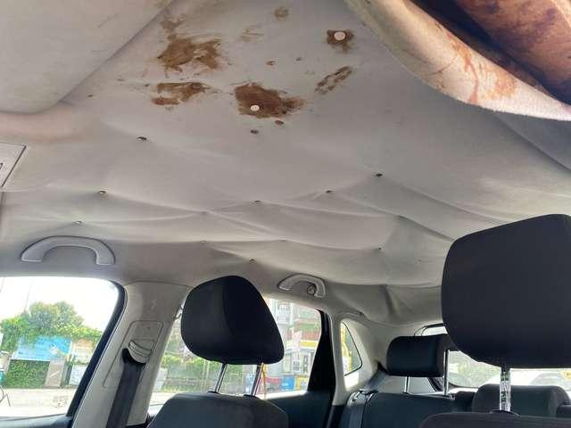 Volkswagen Polo Polo V 5p 1.2 tdi Trendline