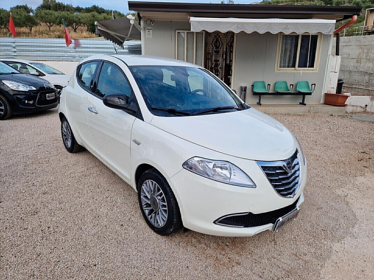 Lancia Ypsilon 1.3 MJT 16V 95 CV 5 porte S&S Platinum