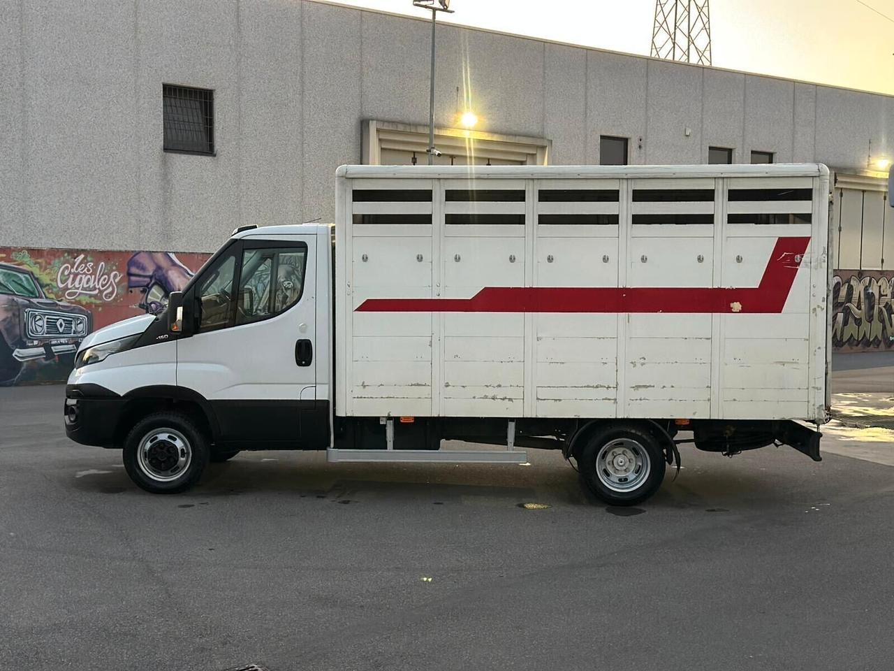 Iveco Daily modello 35c15 anno 2019