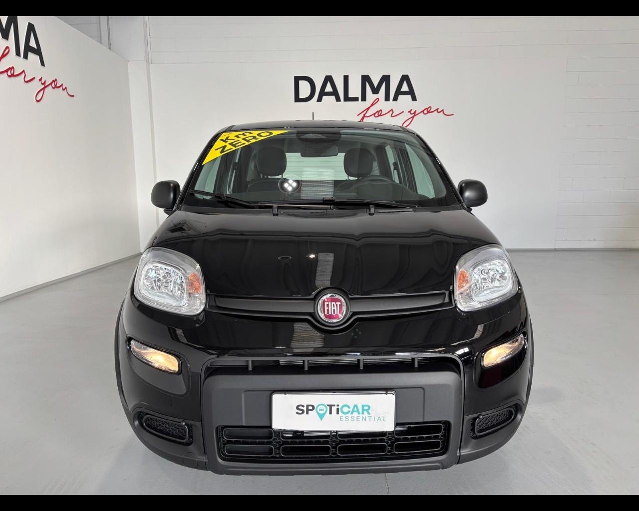 FIAT Pandina III 2024 - Pandina 1.0 firefly hybrid Pop s&s 70cv