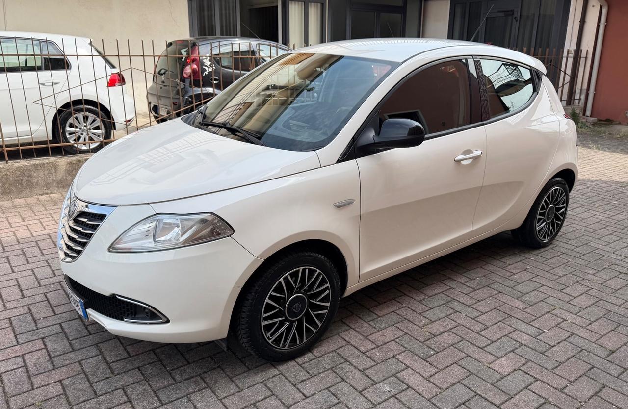 Lancia Ypsilon 1.3 MJT 16V 95 CV Ok Neopatentati