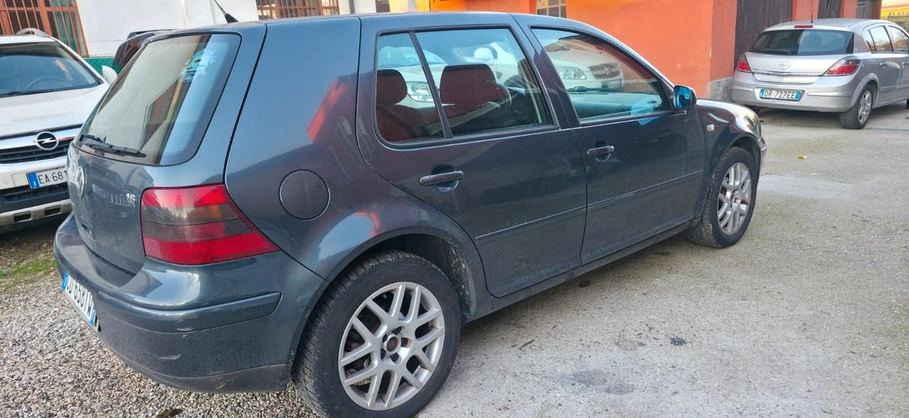 Volkswagen Golf 1.6 16V cat 5 porte Highline neop