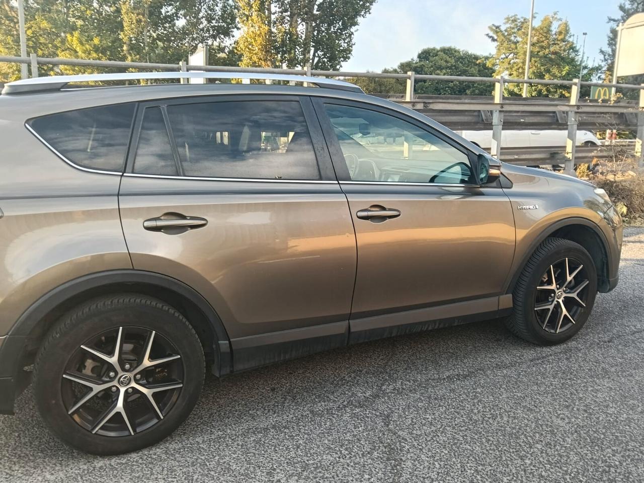 Toyota RAV4 2.5 Hybrid AWD E-Four (197 CV) + GPL Landi + Gancio Brink - 2016