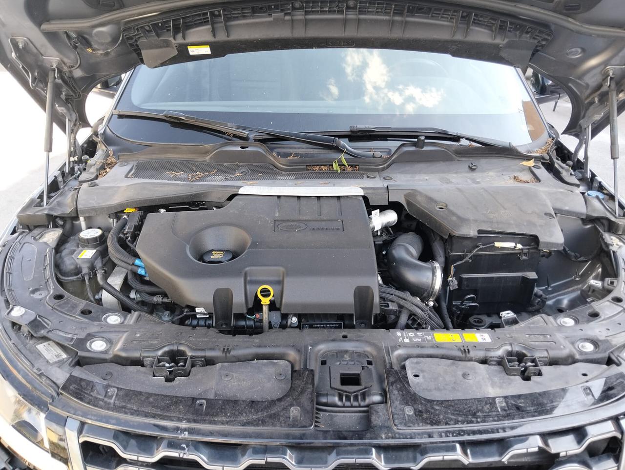 Range Evoque 2.0D 163cv AWD R-Dynamic 2022 SINISTRATA