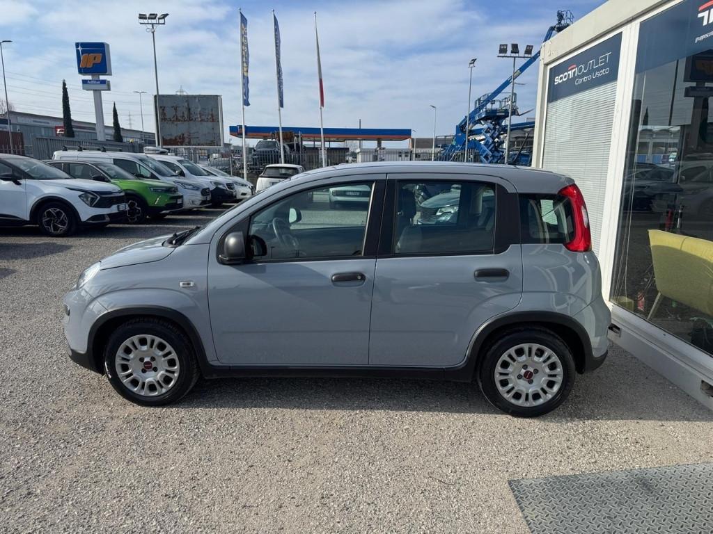 FIAT Panda III 2021 - Panda 1.0 firefly hybrid s&s 70cv 5p.ti