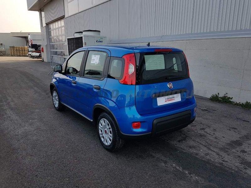 FIAT Panda My24 1.0 Hybrid 70cv