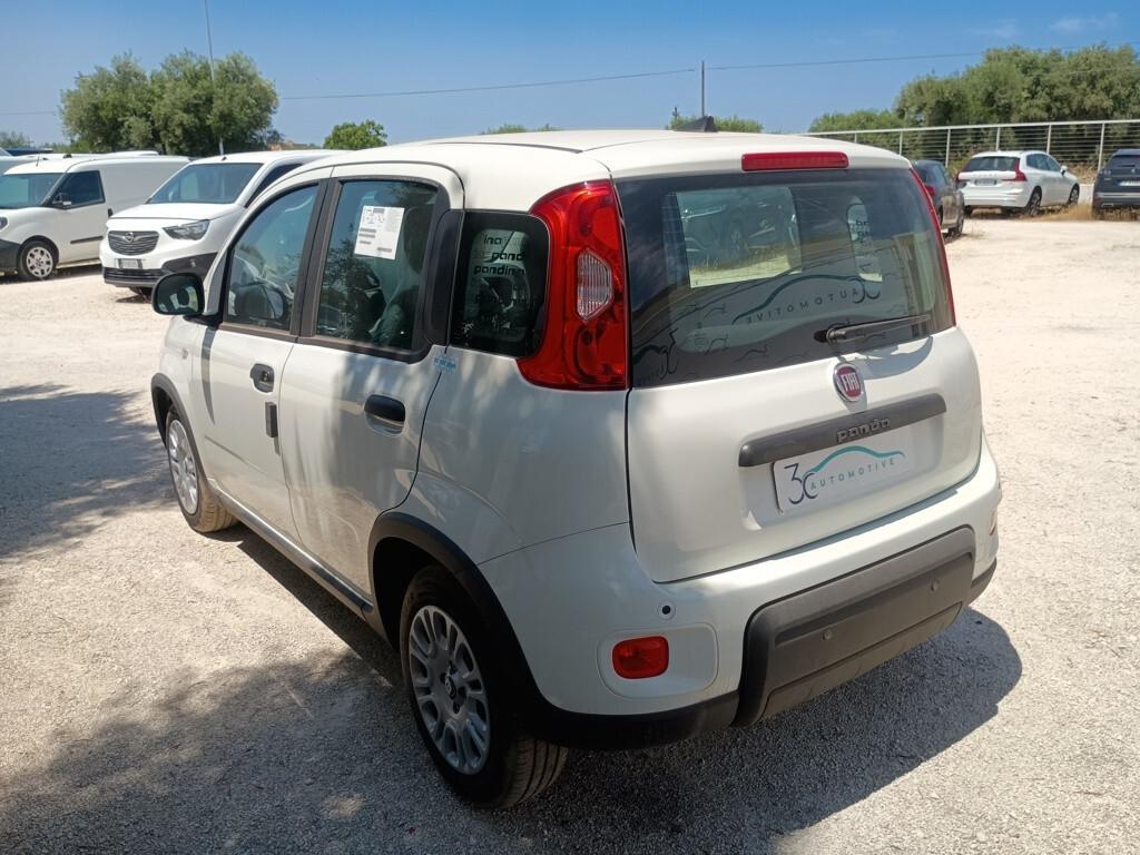 Fiat Panda 1.0 FireFly 70cv Hybrid Km0 *Pack City*
