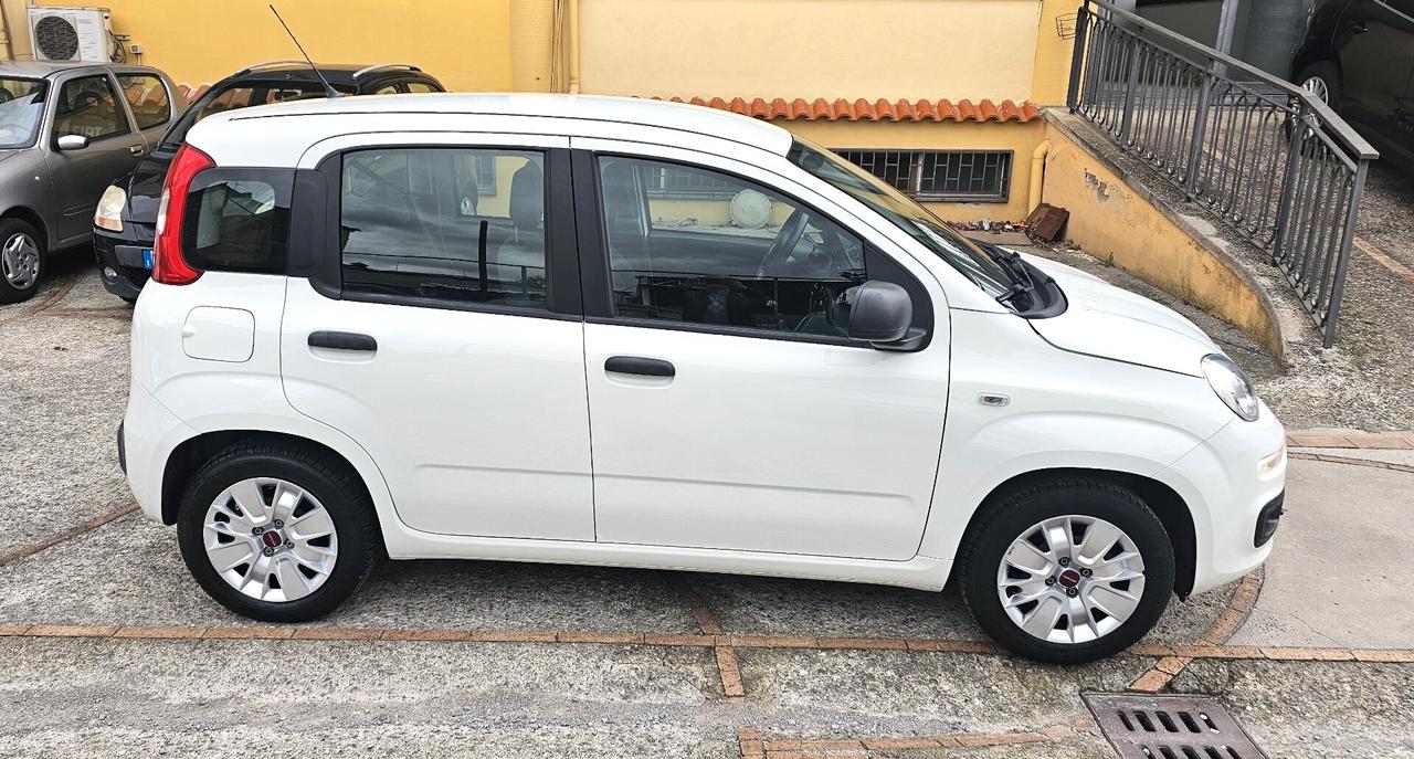 Fiat Panda 1.2 EasyPower 11/2016 GPL KM 47000