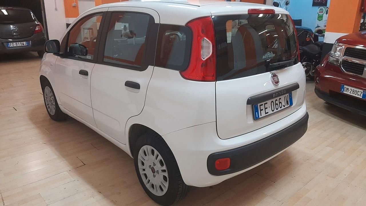 Fiat Panda 1.2 BENZINA FIRE EURO 6 NEOPATENTATI