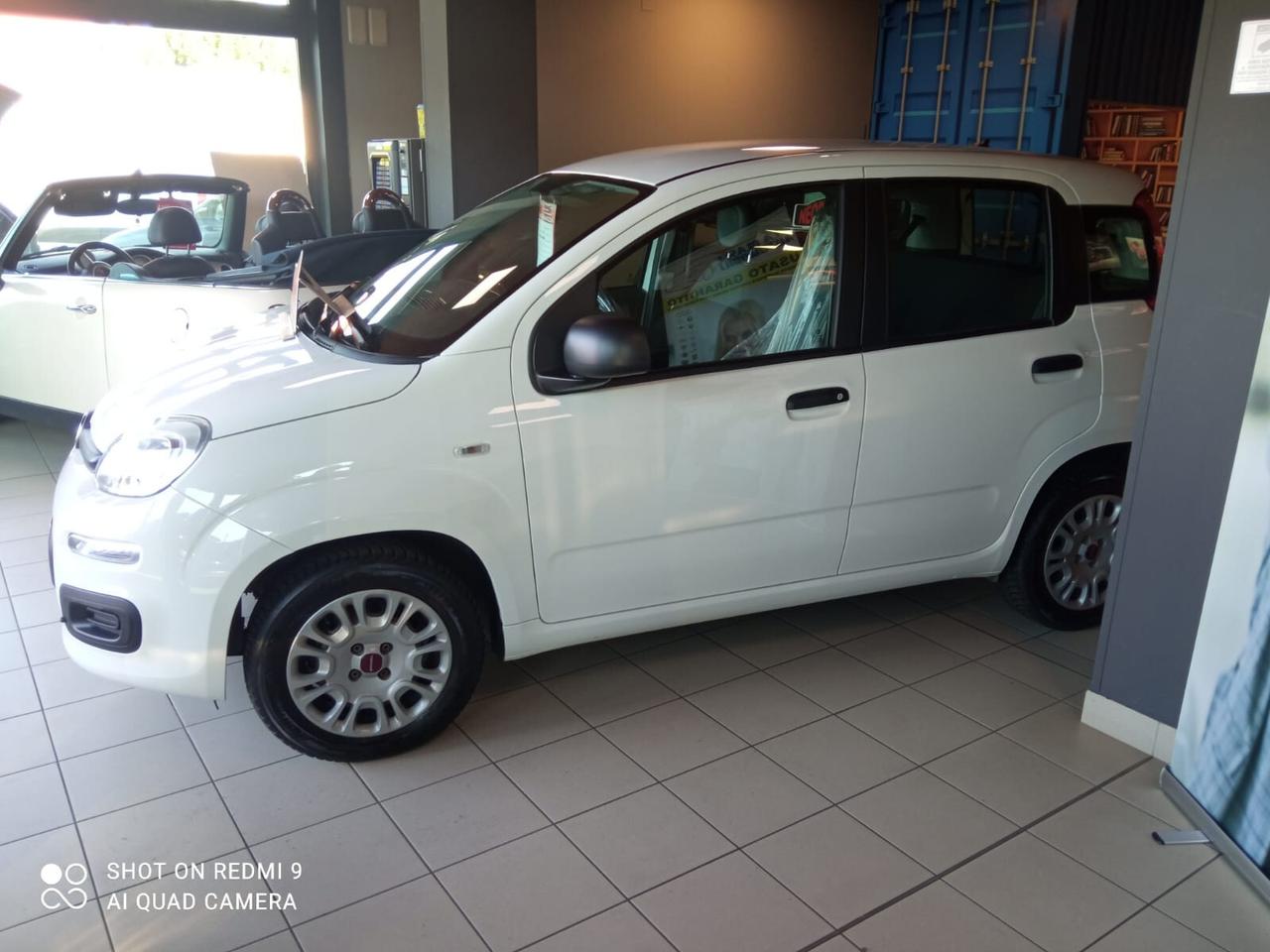 Fiat Panda 1.2 Lounge neopatentati