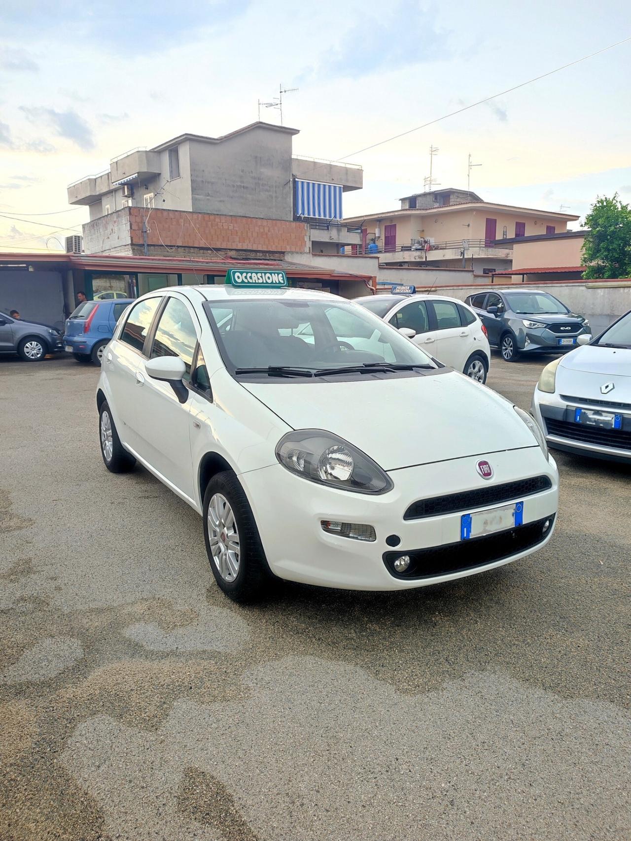 Fiat Punto 1.4 8V 5 porte Natural Power Lounge 77CV
