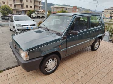 Fiat Panda 1100 i.e. cat Selecta