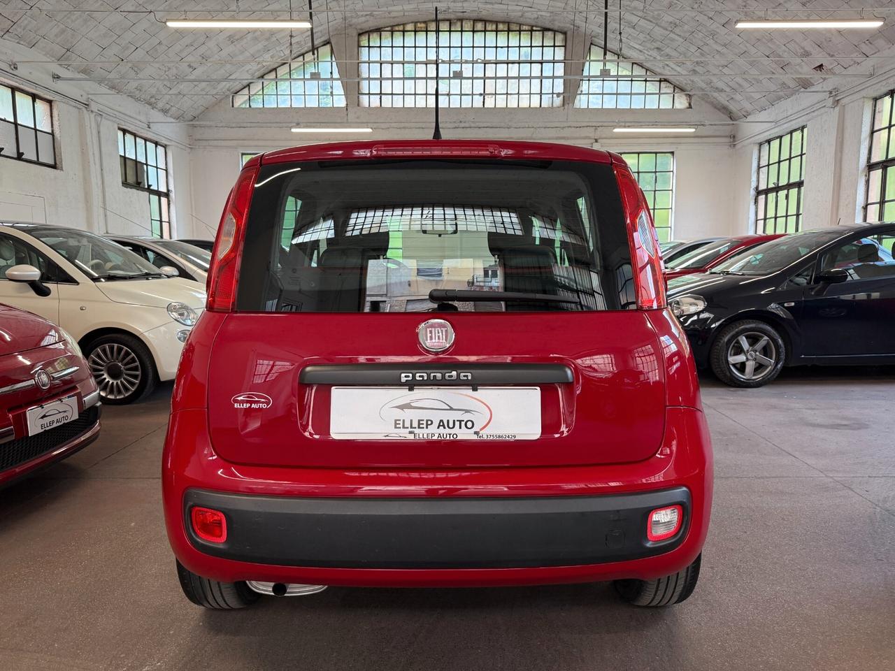 Fiat Panda 1.2 OK NEOPATENTATI - CINGHIA OK