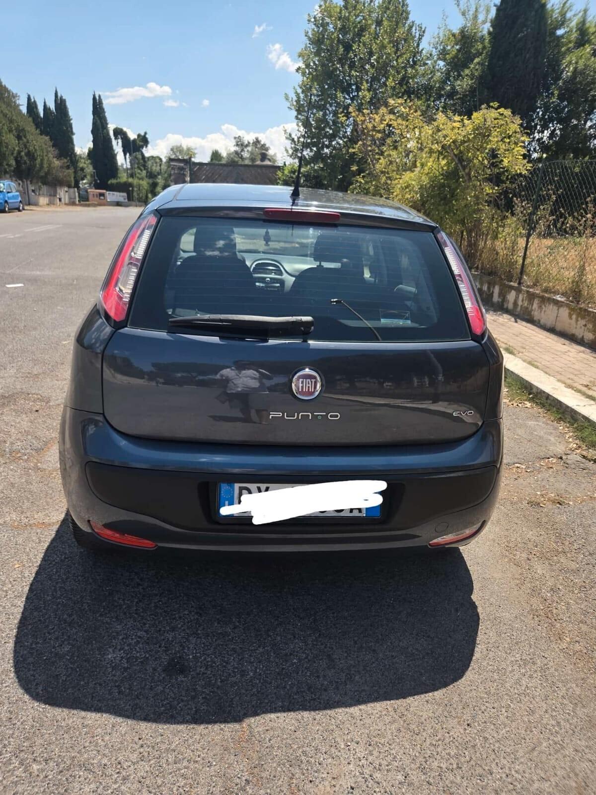 Fiat Punto Evo 1.4 5 porte Active GPL