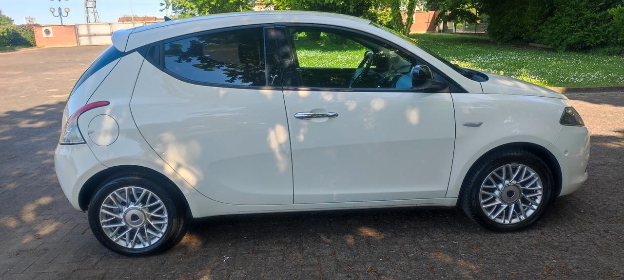 Lancia Ypsilon 1.3 MJT 16V 95 CV 5 porte S&S Gold