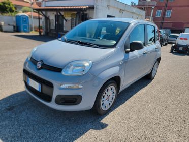 Fiat Panda 1.2 Waze EURO6 distributizione nuova garanzia