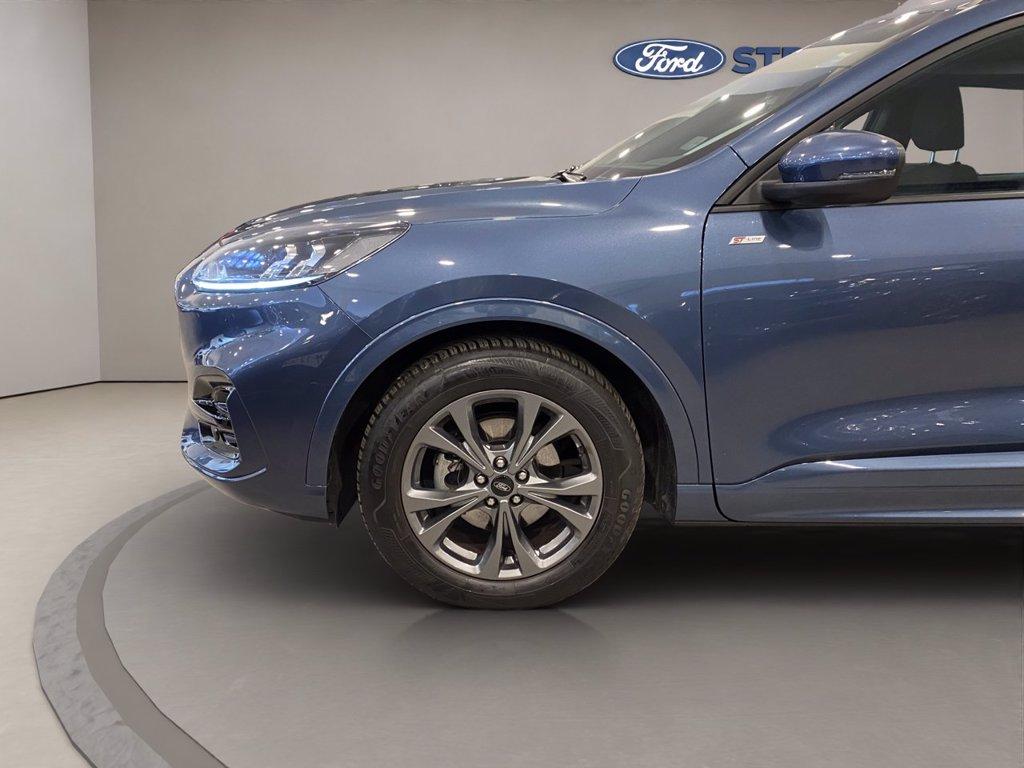 FORD Kuga 2.0 ecoblue ST-Line 2wd 120cv auto del 2024