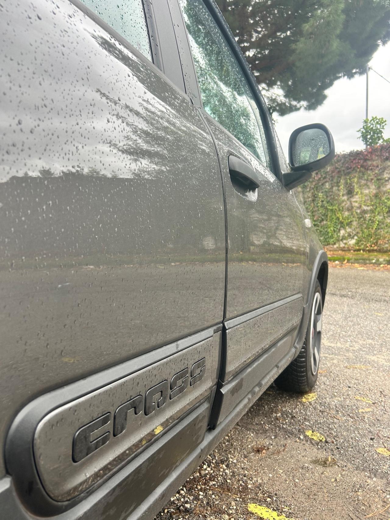 Fiat Panda 1.2 Cross Unico Proprietario Km Certificati