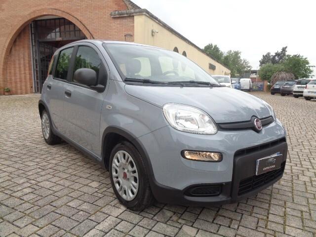 Fiat Panda 1.0 FireFly S&S Hybrid 7500 km possibilità L. 104