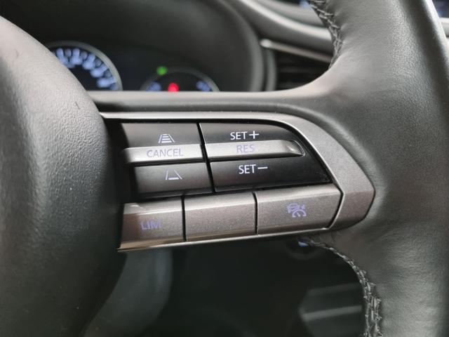 MAZDA CX-30 2.0L e-Skyactiv-G 150 CV M Hybrid 2WD Evolve