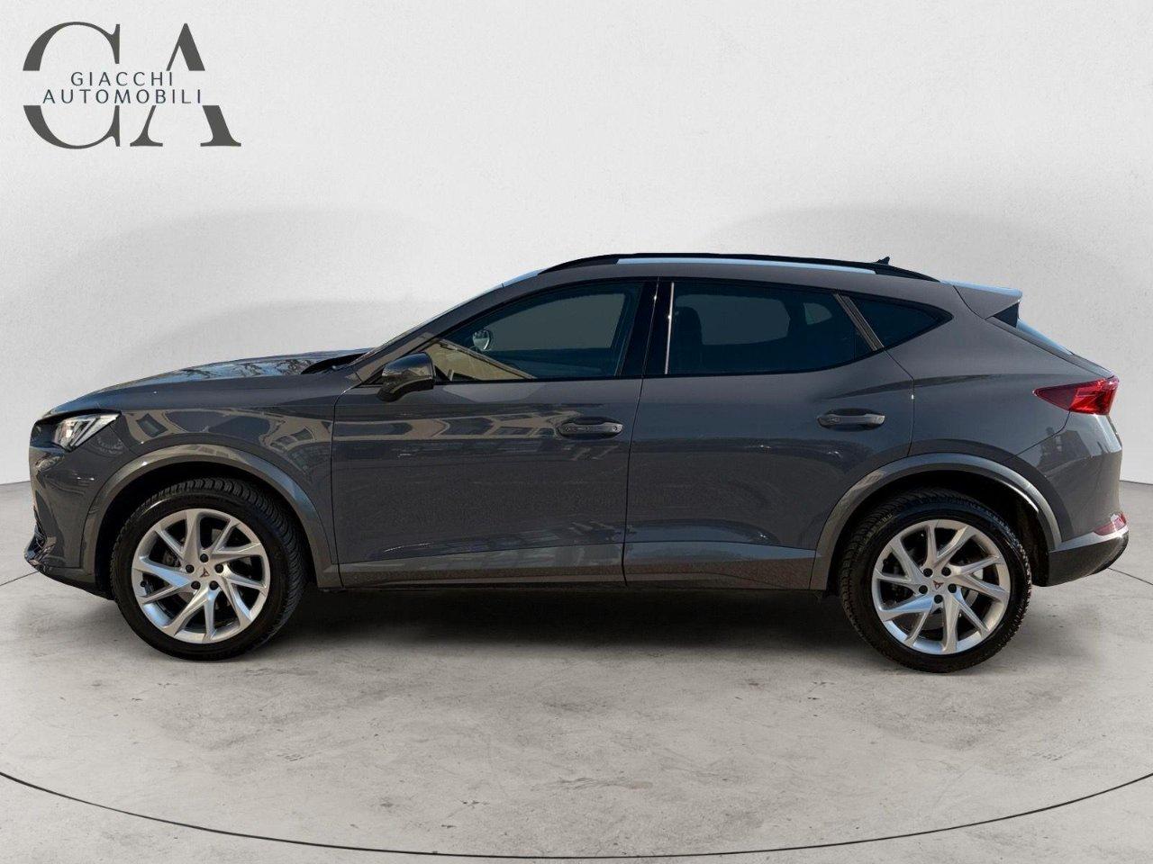 Cupra Formentor 2.0 tdi 4drive 150cv dsg
