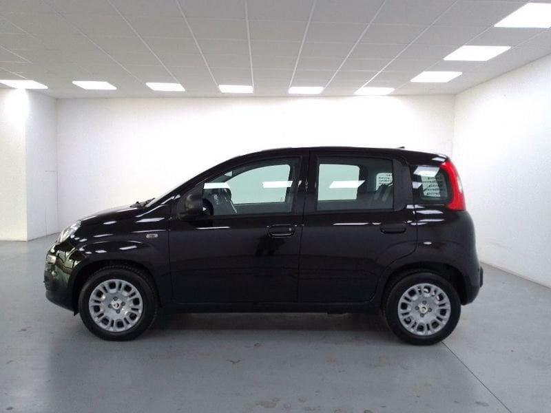 FIAT Pandina 1.0 firefly hybrid Icon s e s 70cv 5p.ti