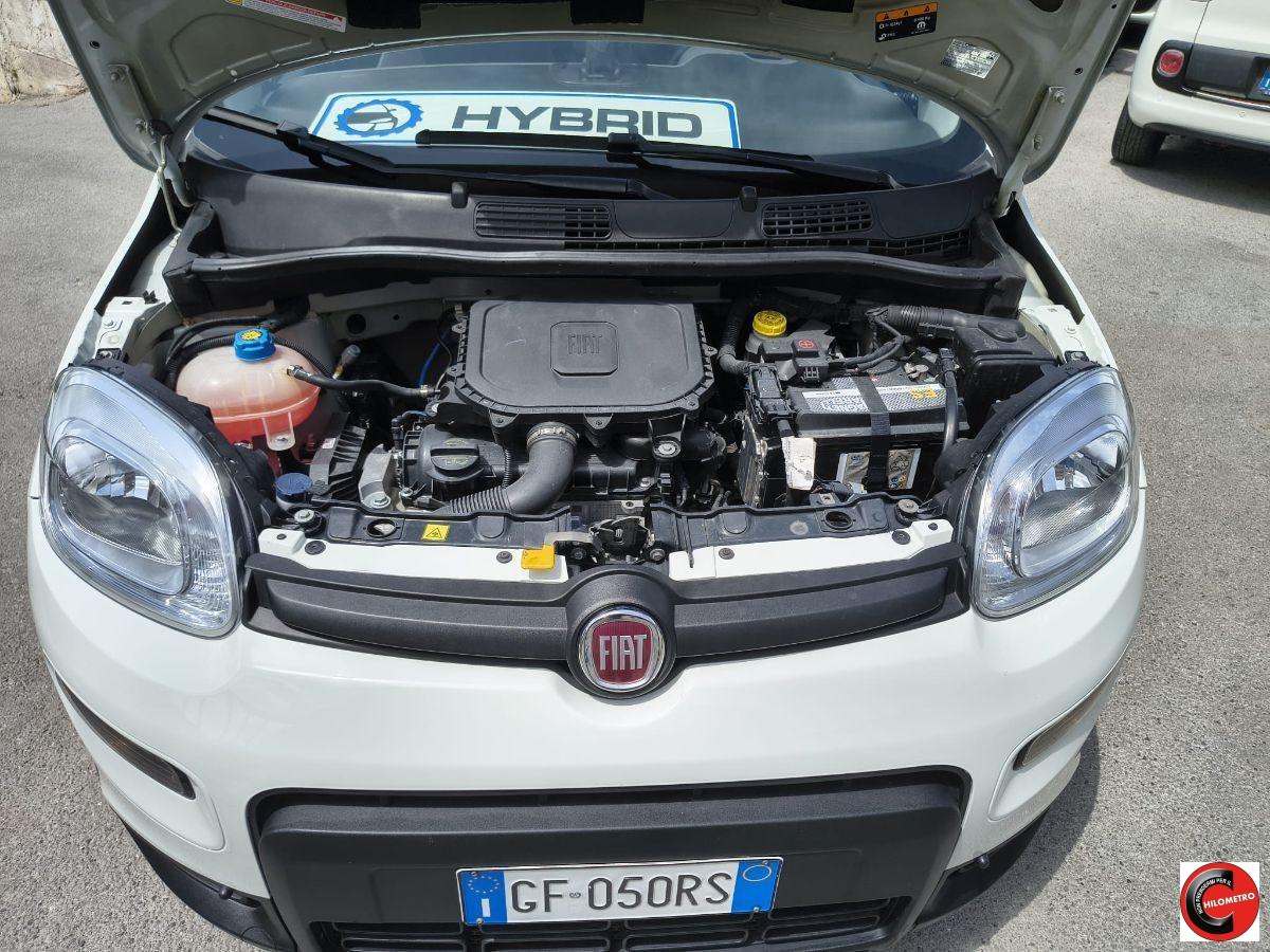 FIAT - Panda - 1.0 FireFly S&S Hybrid City Life