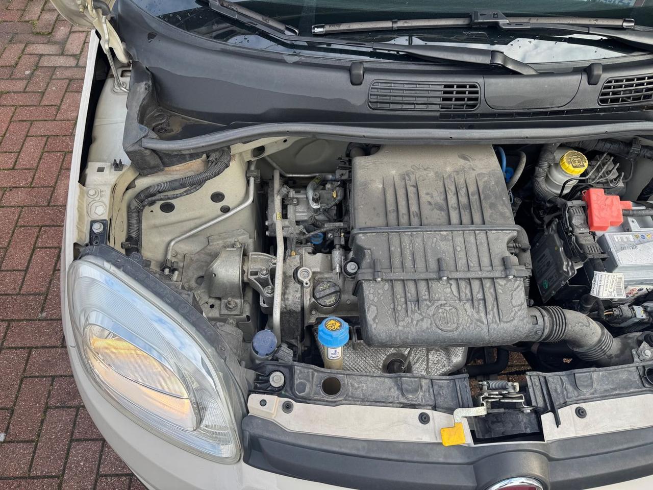 Fiat Panda Young 1.2 #8904