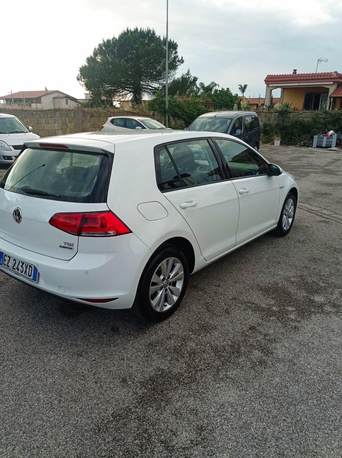 Volkswagen Golf 1.4 TGI DSG 5p. Executive 4 Free BlueMotion