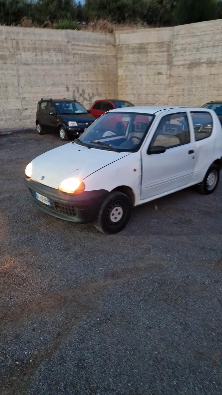 Fiat Seicento 900i cat Young