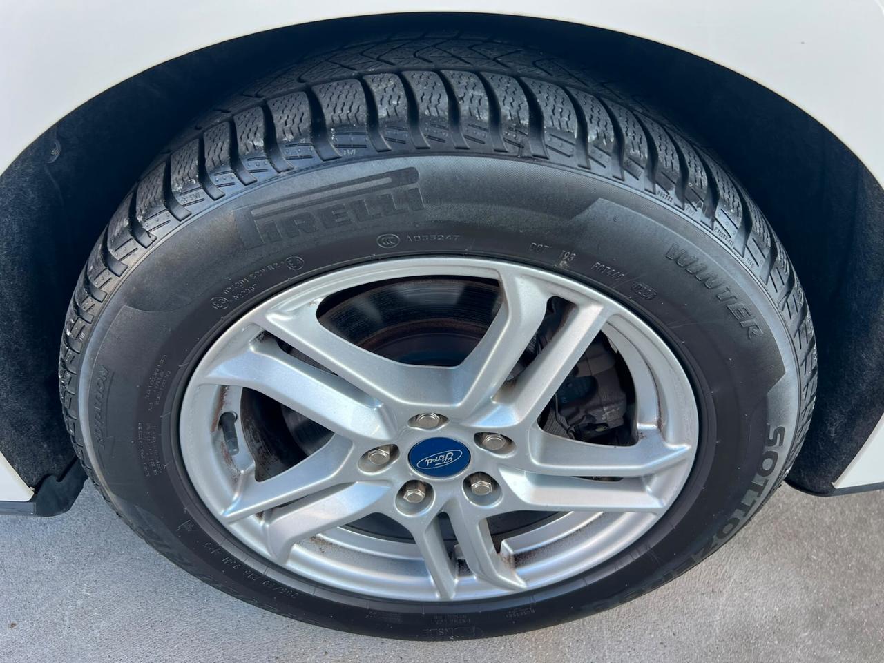 Ford Focus 1.5 EcoBlue 120 CV automatico SW Business