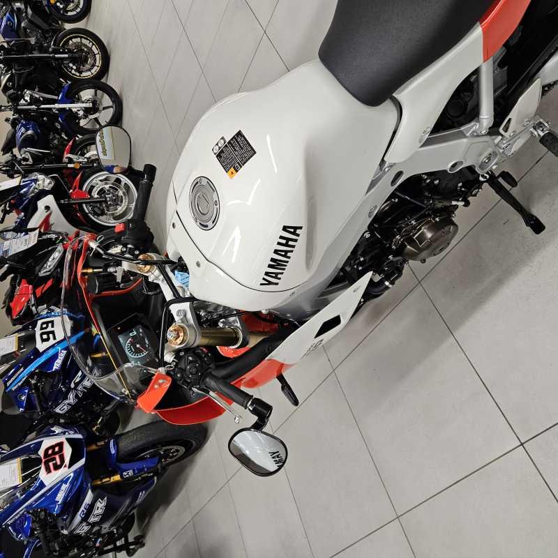 Yamaha XSR 900 GP - 2026