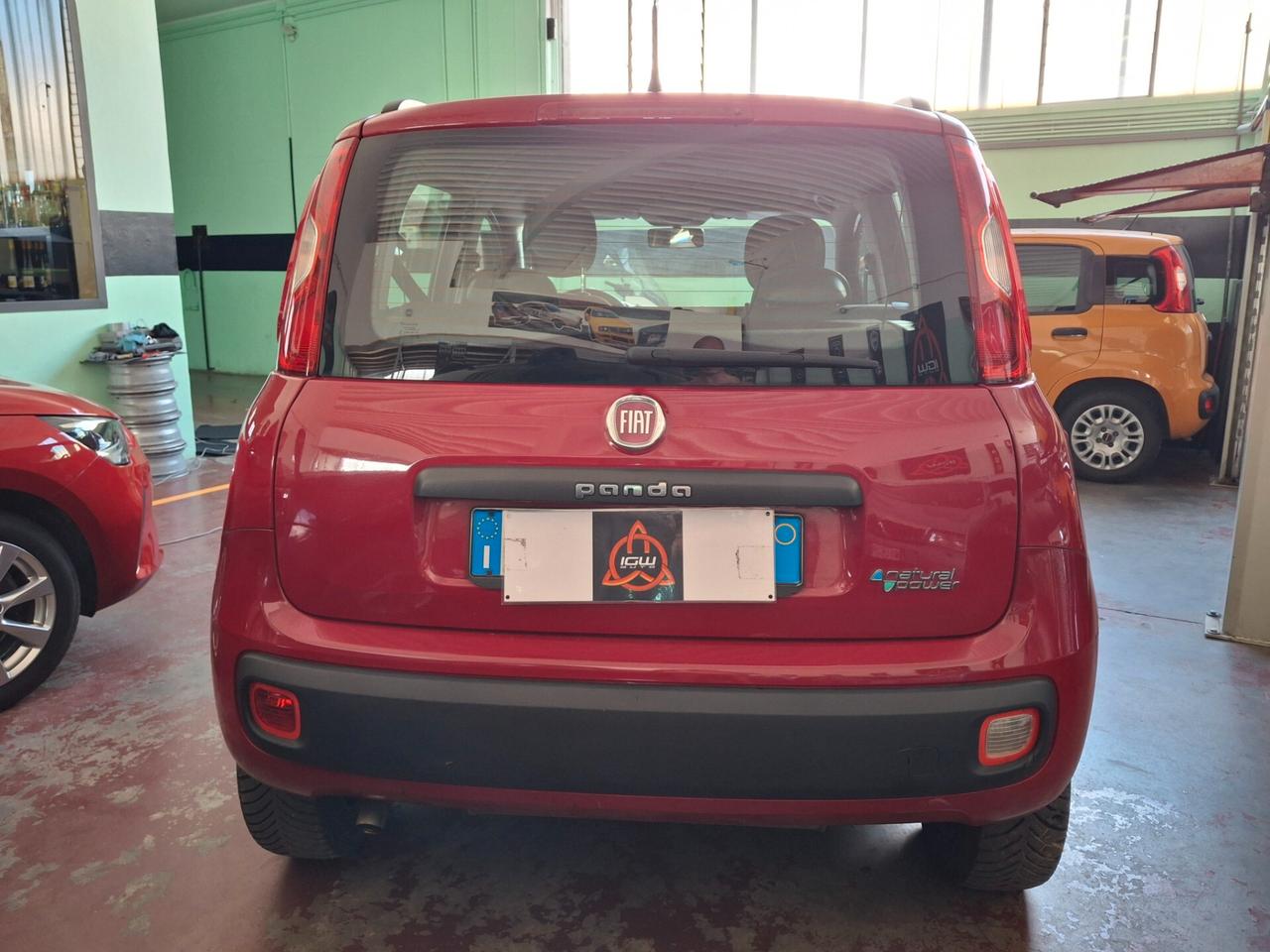 Panda PROMO SET. PASSAGGIO INCLUSO NEL PREZZO!!!