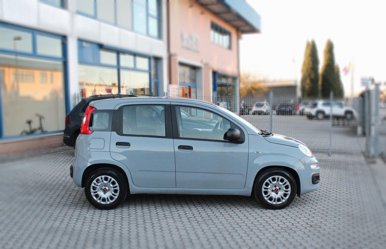 Fiat Panda 1.0 FireFly S&S Hybrid-OK NEOPATENTATI